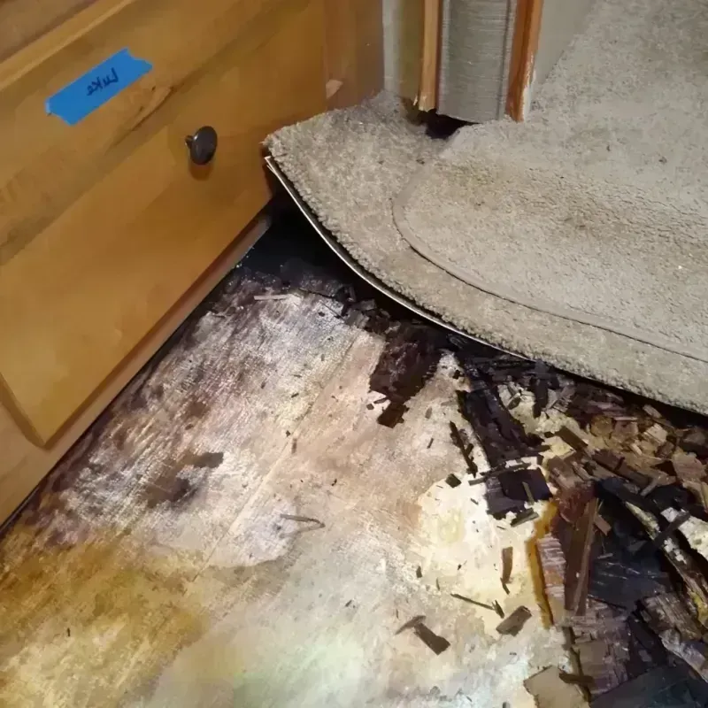 Best Wood Floor Water Damage Service in Norco, CA